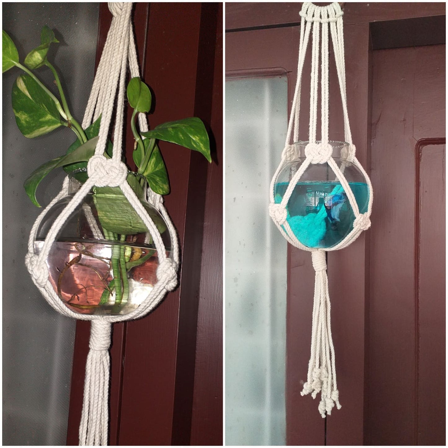 Macrame Josephine knot plant hanger (Combo set of 2)