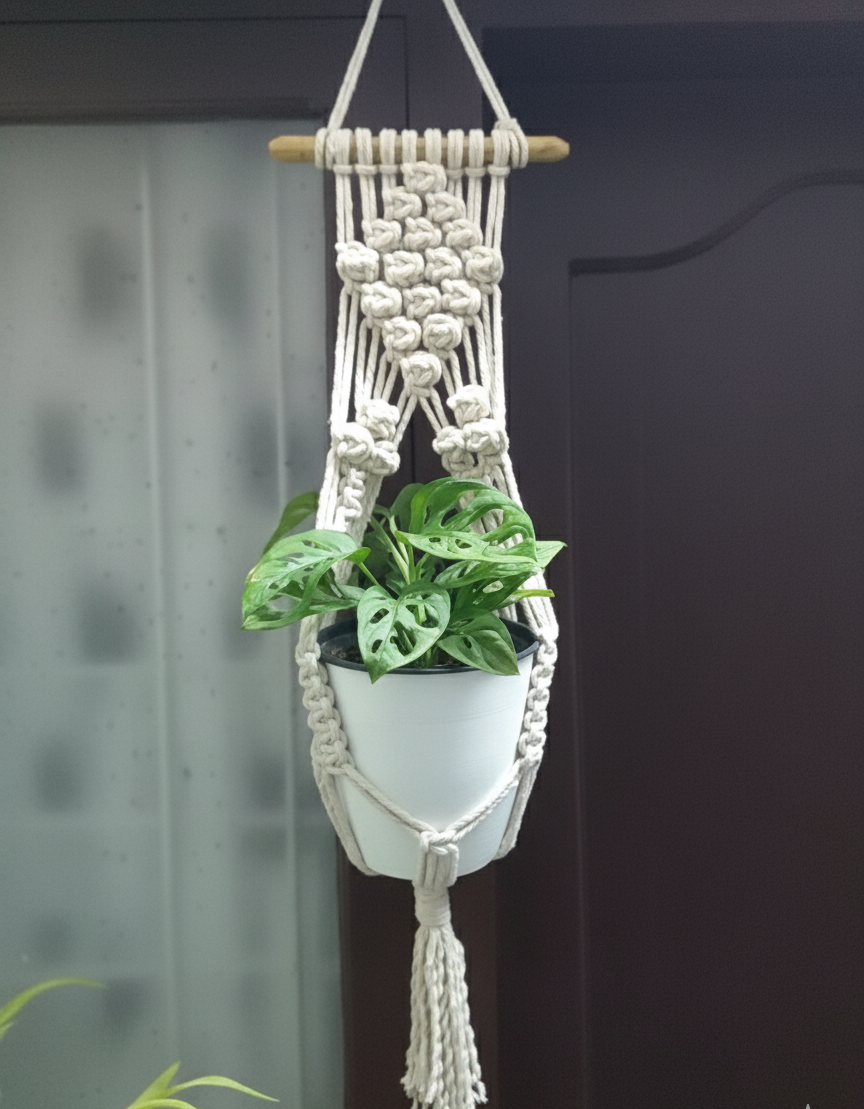 Plant hanger