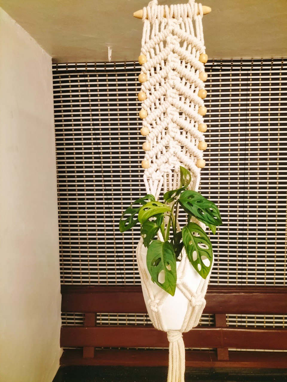 macrame single pot plant hanger