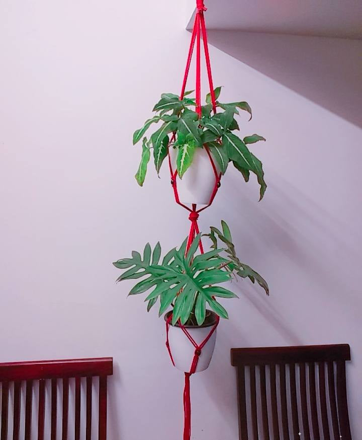 Twin Plant Hanger
