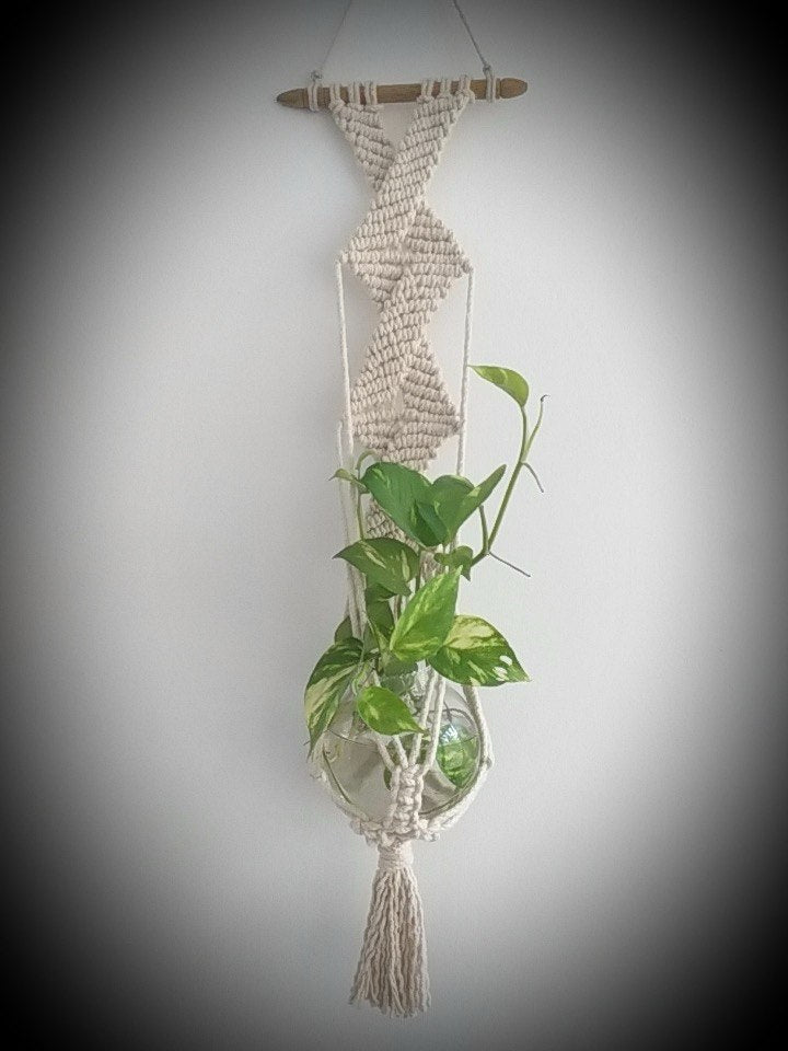 Macrame Plant Hanger