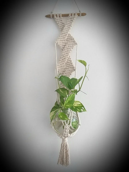 Macrame Plant Hanger