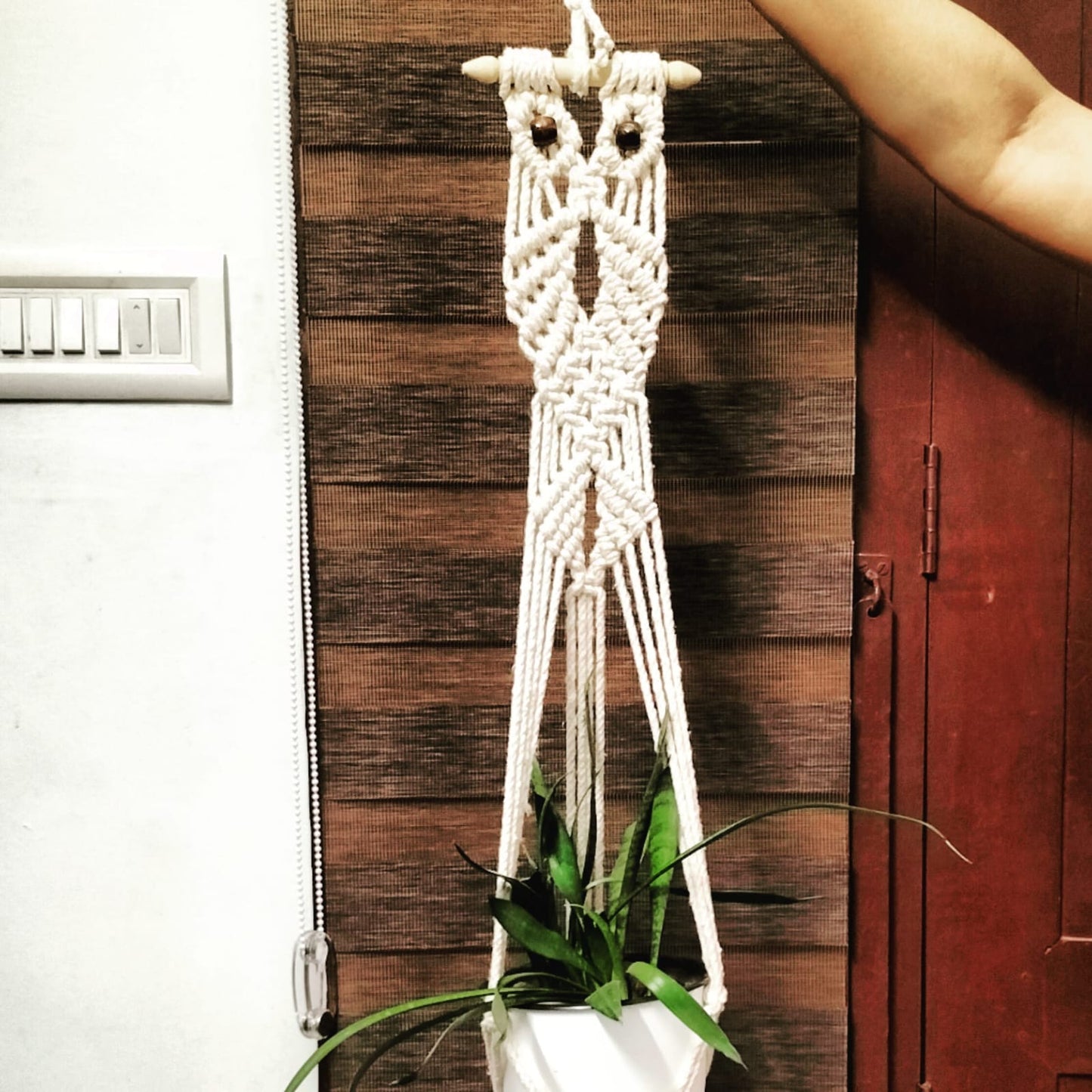 Plant hanger