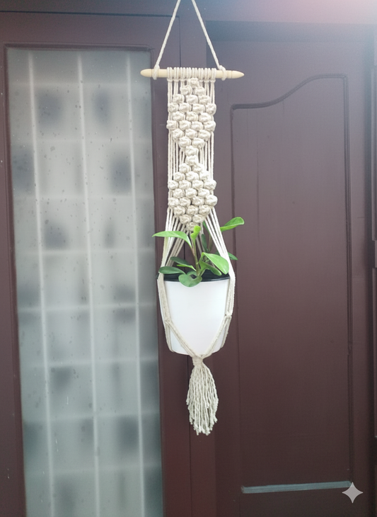 Macrame Plant hanger