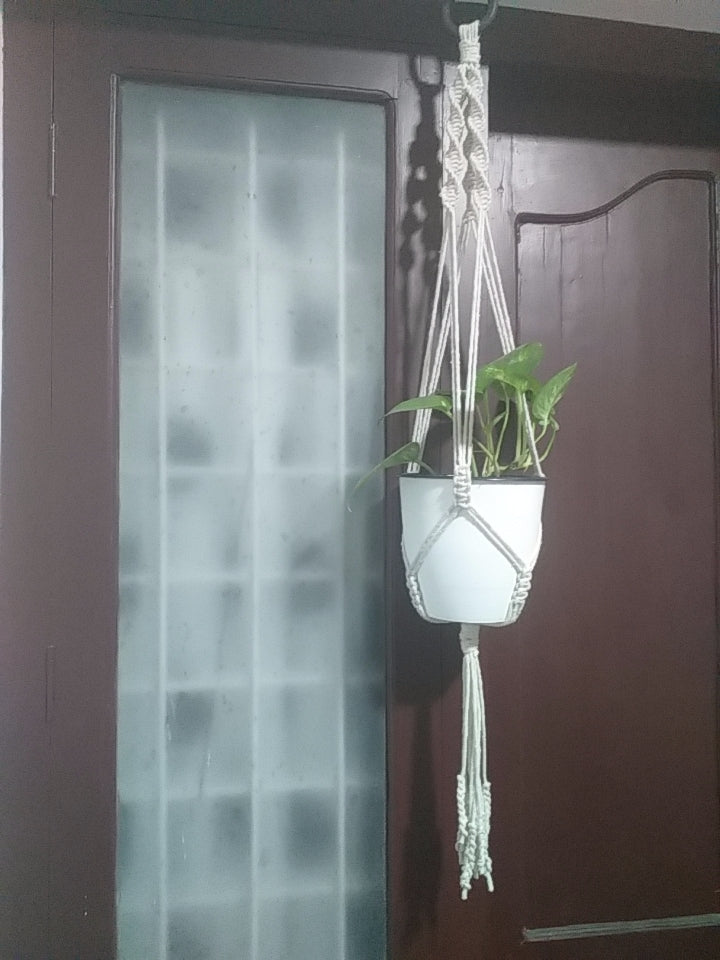 Plant Hanger (Combo set of 2)