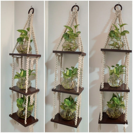 Wall Hanging Shelf