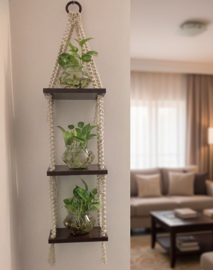 Wall Hanging Shelf