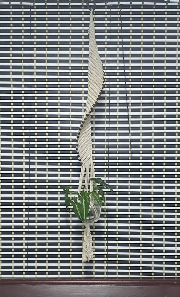 Spiral Macrame Plant Hanger