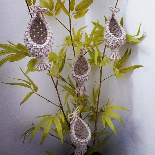 Macrame Succulent and Air Plant Hanger