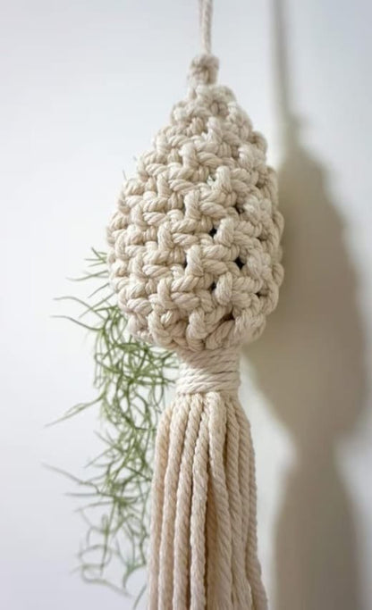 Macrame Succulent and Air Plant Hanger