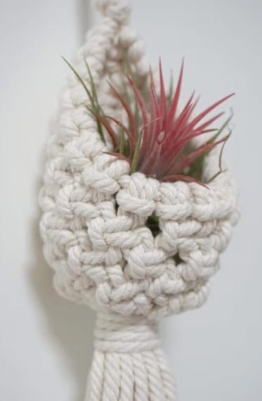 Macrame Succulent and Air Plant Hanger