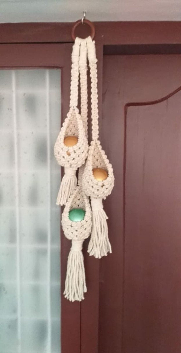 Macrame succulent and Air Plant Hanger