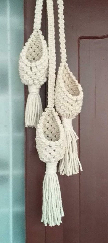 Macrame succulent and Air Plant Hanger