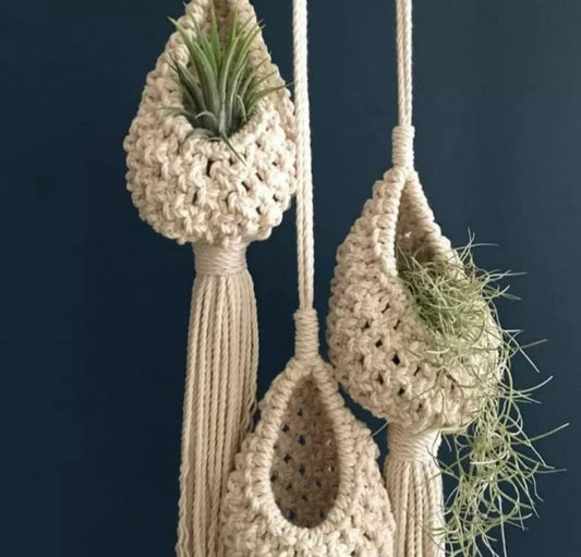 Macrame succulent and Air Plant Hanger